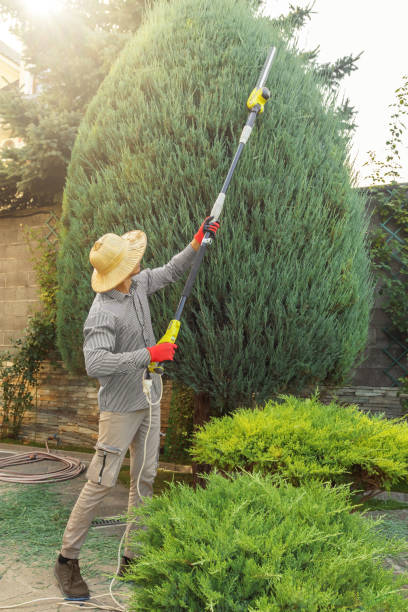 Best Pest Control for Lawns  in Evans, GA